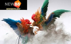 Cách phân định thắng thua Đá Gà Thomo New88