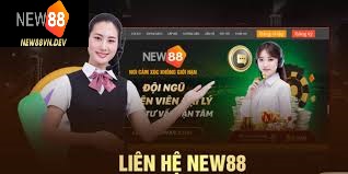 Trường hợp nào bet thủ nên liên hệ New88 để được hỗ trợ?