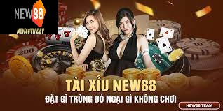 Tài Xỉu New88 có quy định và cách tham gia đơn giản